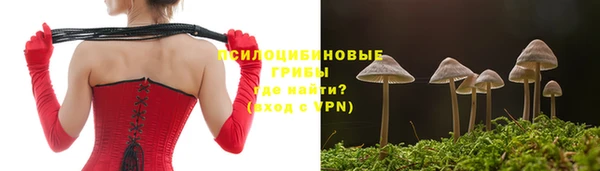 дурь Медвежьегорск